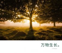 ӹ㶫磺Ҿҵ